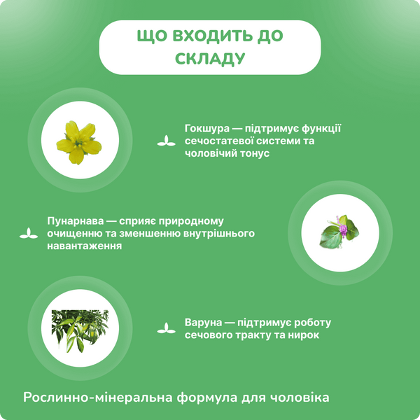 Гуд Кейр Прос Гард, 60 капсул, поддержка мужского здоровья, GoodCare Pros Guard 2499683026 фото