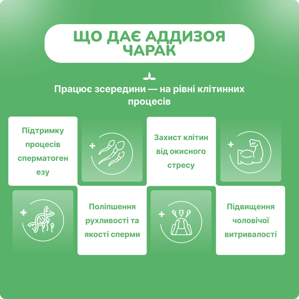 Аддизоя Чарак, для поддержки мужского репродуктивного здоровья, Addyzoa Charak, 20 капсул 2284363345 фото