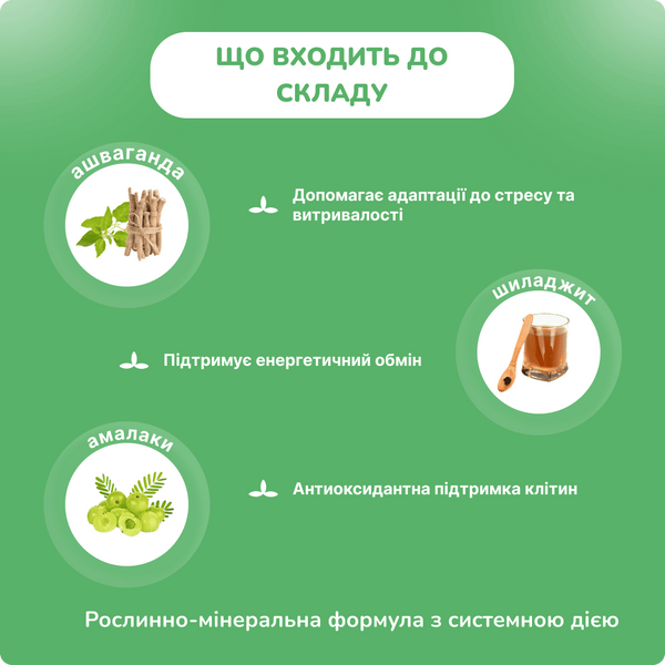 Аддизоя Чарак, для поддержки мужского репродуктивного здоровья, Addyzoa Charak, 20 капсул 2284363345 фото