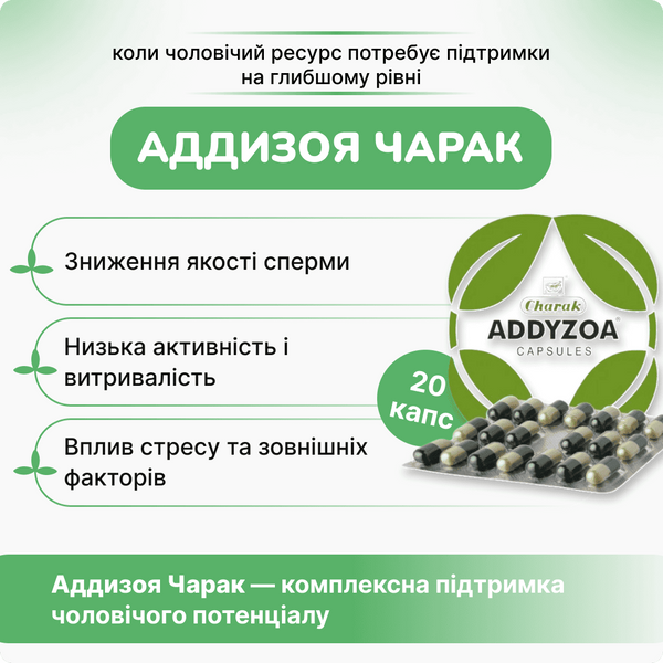 Аддизоя Чарак, для поддержки мужского репродуктивного здоровья, Addyzoa Charak, 20 капсул 2284363345 фото