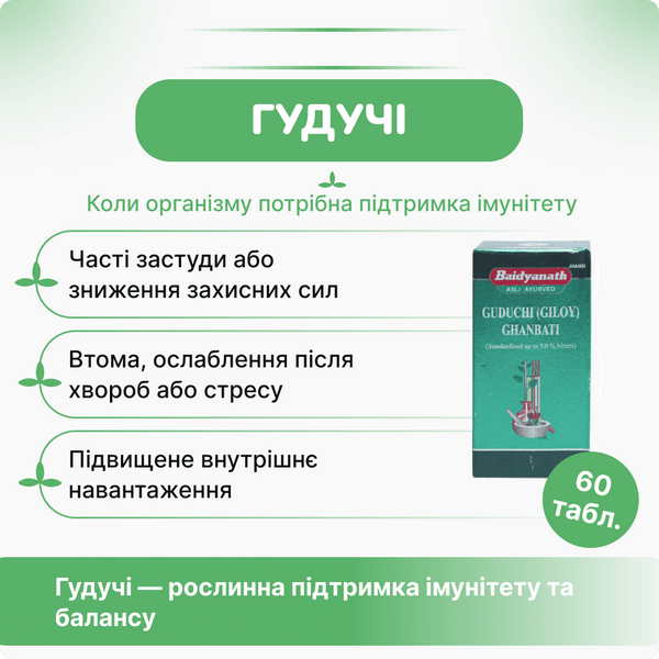 Гудучи гилой гхан вати, Беднатх, 60 таблеток, Амрита, Guduchi Giloy Ghan Bati Baidyanath 1618105354 фото
