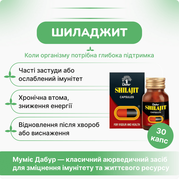 Мумиё Дабур, Шиладжит Дабур, 30 капсул, Shilajit Dabur 1598130673 фото
