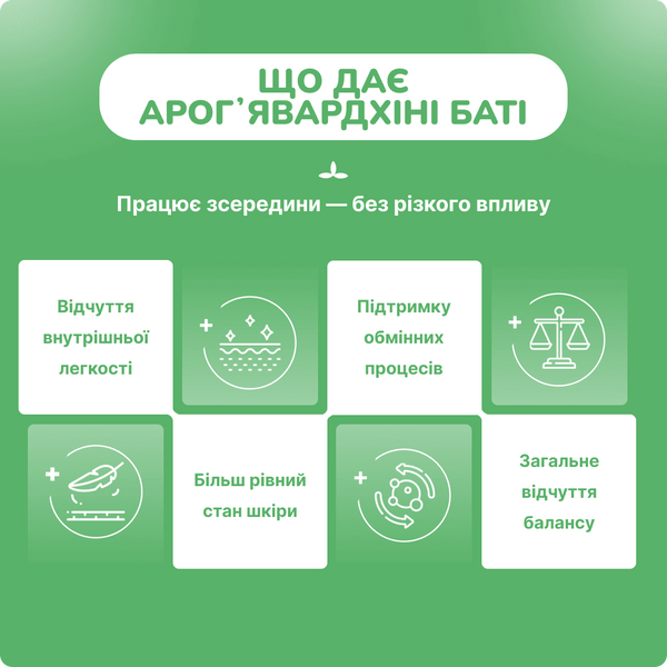Арогьявардхини Бати Беднатх, 80 таблеток, Arogyawardhini Bati Baidyanath 1598385983 фото