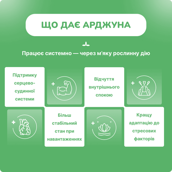 Арджуна Джива 120 таблеток, Arjuna Jiva 120 tab 990979998 фото