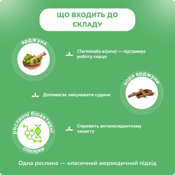 Арджуна Джива 120 таблеток, Arjuna Jiva 120 tab 990979998 фото