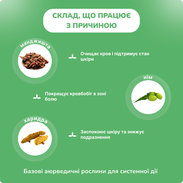 Псора капсулы, Аюлабс, 100 капсул, Psora Capsules, для кожных заболеваний 1598386044 фото