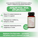 Арджуна Джива 120 таблеток, Arjuna Jiva 120 tab 990979998 фото 2