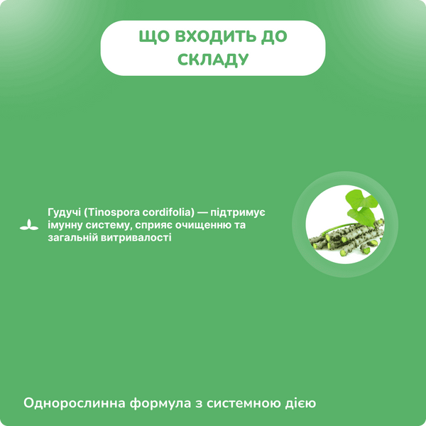 Гудучи Хімалая, 60 таблеток, для підтримки імунітету, Guduchi Himalaya 1819709190 фото