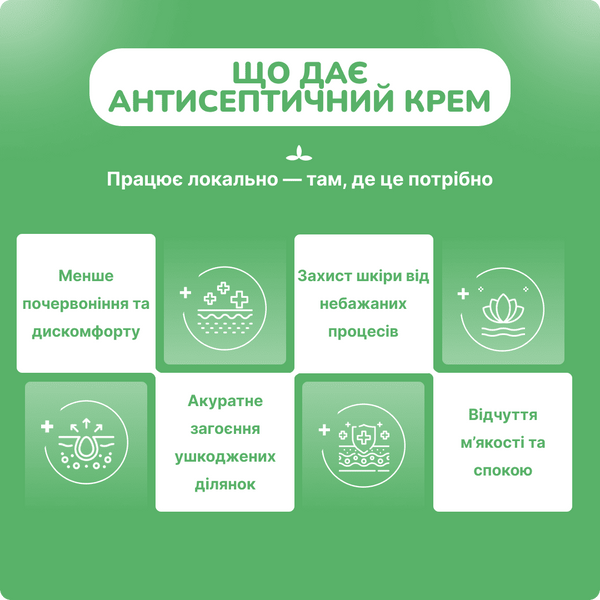 Антисептичний крем, 20г , Antiseptic Cream, Himalaya 20 g 999979956 фото