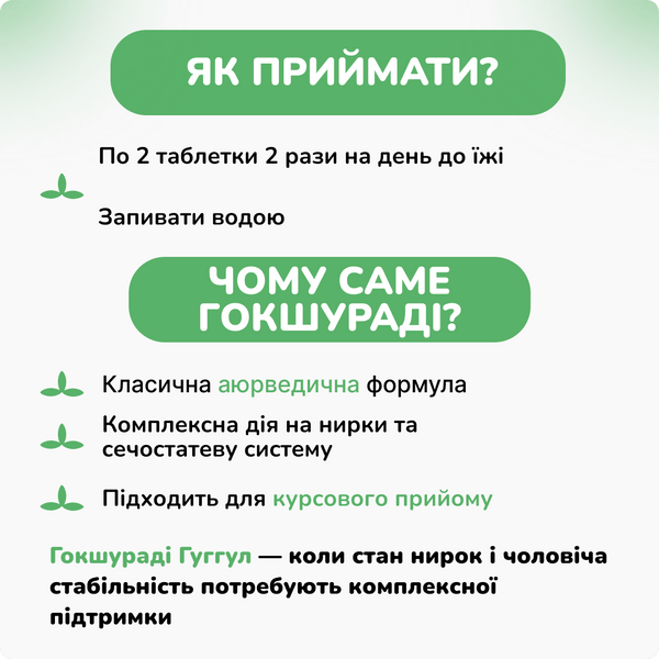 Гокшураді Гуггул, Беднатх, 80таб, для сечостатевої системи, функції нирок, Gokshuradi Gugulu Baidyanath 1598390242 фото