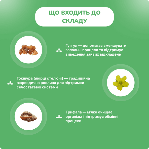 Гокшураді Гуггул, Беднатх, 80таб, для сечостатевої системи, функції нирок, Gokshuradi Gugulu Baidyanath 1598390242 фото