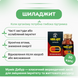 Дабур Мумие, 100 капсул, поддержка иммуннитета, Dabur Shilajit 1606976708 фото 2