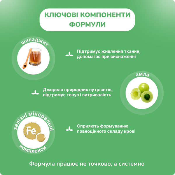 Рактда,Ракта Махариши, 100 таб,вырабатывание крови, повышение гемоглобина, Raktda Maharishi 1598524561 фото