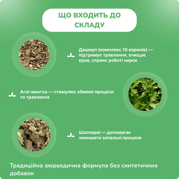 Шрі Ганга Дашмул, 100 пігулок, підтримка здоров'я травлення, Shri Ganga Dashmul 2184912131 фото