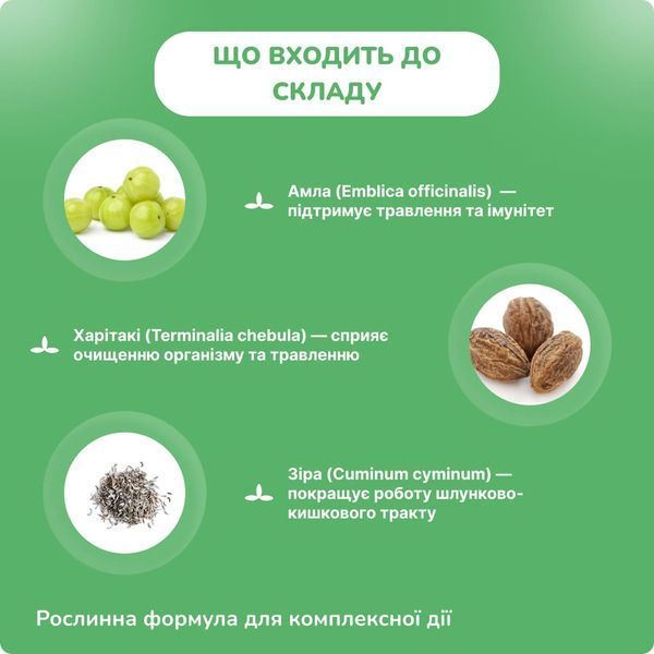Шри Ганга Кримихар Вати, 50 табл, поддержка организма против паразитов, Shri Ganga Krimihar Vati 2185013622 фото