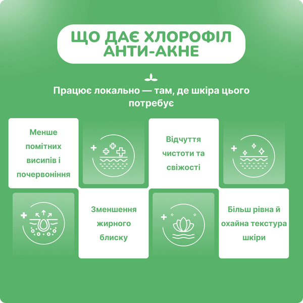 Биотик гель при акне Хлорофил, 50 гр, для жирной и проблемной кожи, Biotique Chlorophyl Anti-Acne Gel 2529291986 фото