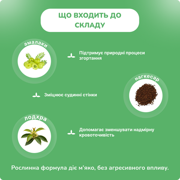 Стиплон Хималая, Styplon Himalaya, 30 таблеток, контроль кровотечений, кровоостанавливающее 2096368840 фото