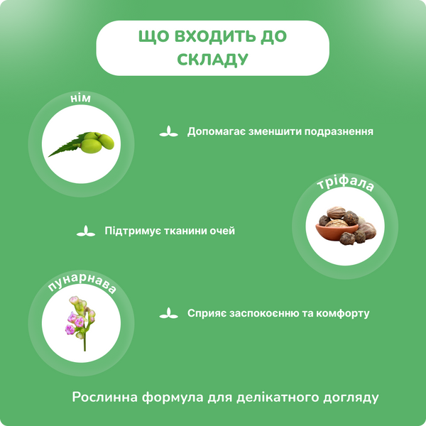 Айтон краплі для очей, 10 мл, підтримка здоров'я зору, Itone eye drops Dey`s Medical 2475633205 фото