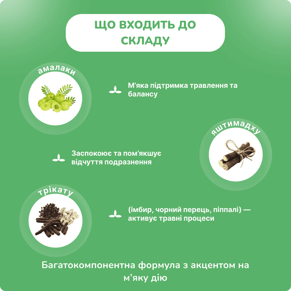 Амлант, Махариши Аюрведа, 60 таблеток, Amlant Maharishi Ayurveda 1598660182 фото