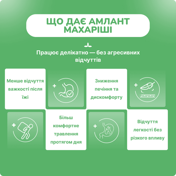 Амлант, Махариши Аюрведа, 60 таблеток, Amlant Maharishi Ayurveda 1598660182 фото