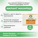 Амлант, Махариши Аюрведа, 60 таблеток, Amlant Maharishi Ayurveda 1598660182 фото 2