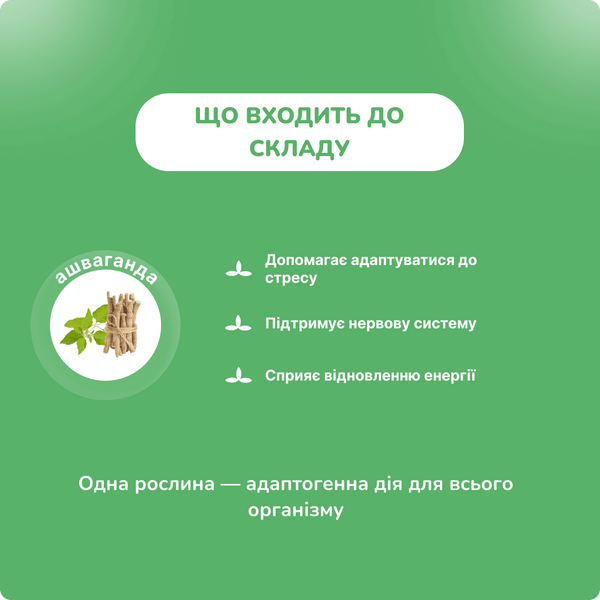Ашваганда Джагат Фарма, 60 кап, тоник для нервной системы, для сна, от стресса, Ashwagandha Jagat Pharma 60N 1599634712 фото