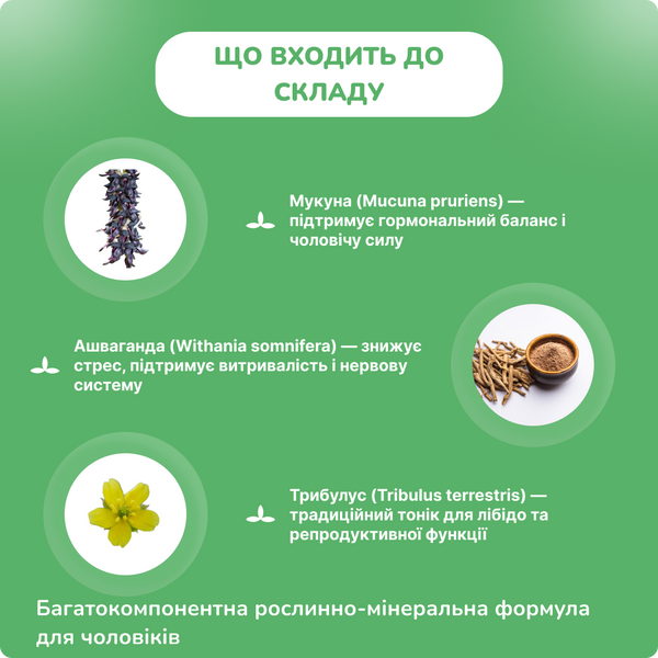 Вигороял М мужской, 10 таб, для мужского здоровья, укрепление эрекции, Vigoroyal M Maharishi Ayurveda 2192050611 фото
