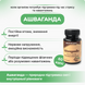 Ашваганда Джагат Фарма, 60 кап, тоник для нервной системы, для сна, от стресса, Ashwagandha Jagat Pharma 60N 1599634712 фото 2