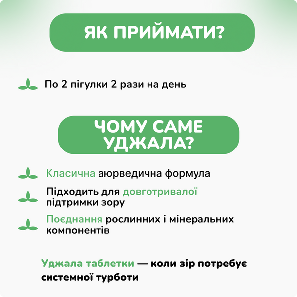 В`яс Уджала вітамини, 100 пігулок, підтримка здоров'я зору, Vyas Ujala tablets 1599570610 фото