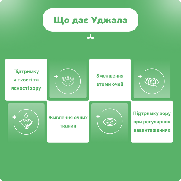 В`яс Уджала вітамини, 100 пігулок, підтримка здоров'я зору, Vyas Ujala tablets 1599570610 фото