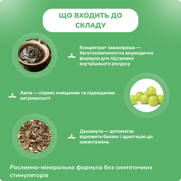Джерифорте, Герифорте Хималая, 60 таб, укрепление иммунитета, общеукрепляющий, для тонуса, Geriforte Himalaya 1614250460 фото