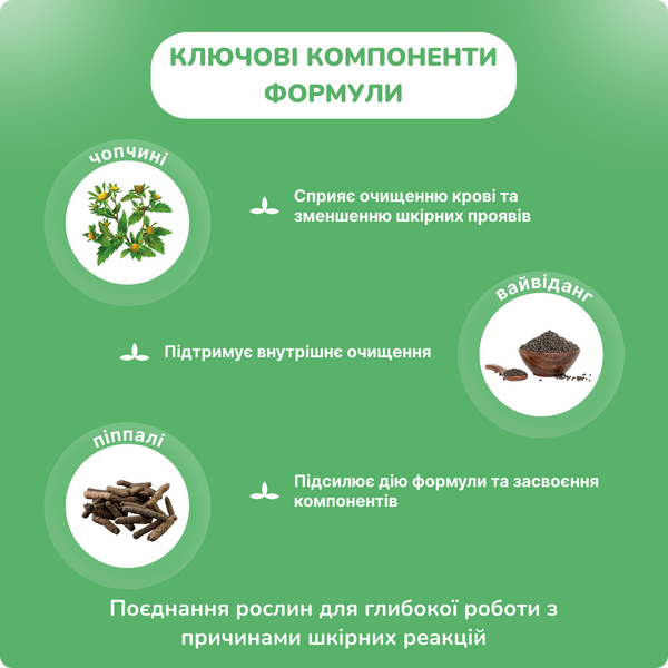 Чопчиньяди Чурна Беднатх, 60 гр, для лечения кожных и венерических болезней, Chopchinyadi Churna Baidyanath 1599549470 фото