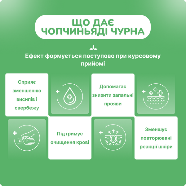Чопчиньяди Чурна Беднатх, 60 гр, для лечения кожных и венерических болезней, Chopchinyadi Churna Baidyanath 1599549470 фото