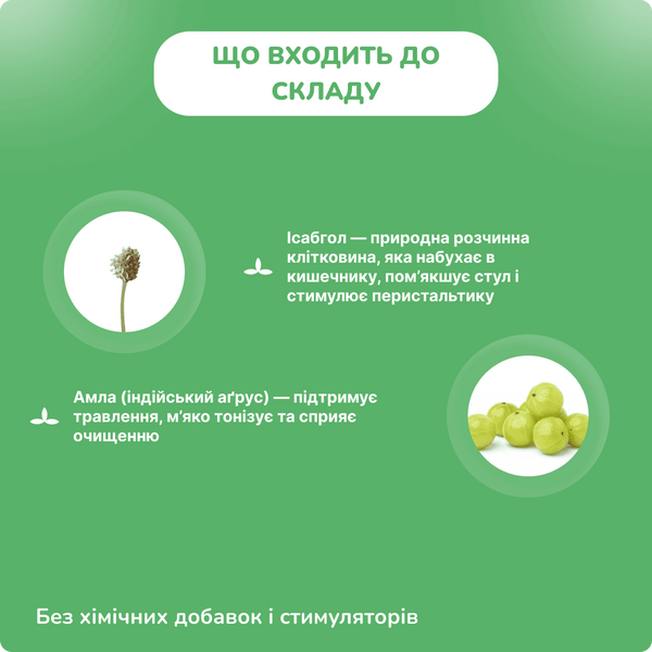 Дабур Исабгол, 100 гр, поддержка здоровья пищеварения, Dabur Isabgol 2025439495 фото