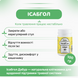 Дабур Исабгол, 100 гр, поддержка здоровья пищеварения, Dabur Isabgol 2025439495 фото 2