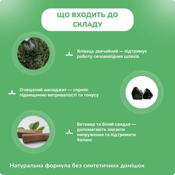 Дейс Простина, 10 таблеток, поддержка мужского здоровья, Deys Prostina 1617472615 фото