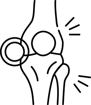 Опорно-двигательная система