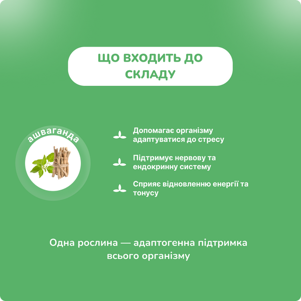 Ашваганда Органическая, для сна, от стресса, Органик Индия 60 капсул, Ashwagandha Organic India 60 cap 9945582067 фото