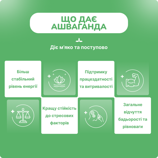 Ашваганда Органическая, для сна, от стресса, Органик Индия 60 капсул, Ashwagandha Organic India 60 cap 9945582067 фото