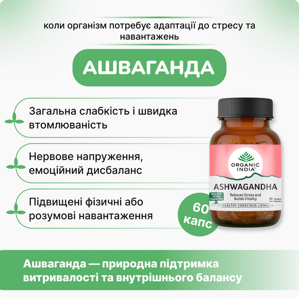 Ашваганда Органическая, для сна, от стресса, Органик Индия 60 капсул, Ashwagandha Organic India 60 cap 9945582067 фото