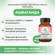 Ашваганда Органическая, для сна, от стресса, Органик Индия 60 капсул, Ashwagandha Organic India 60 cap 9945582067 фото 2